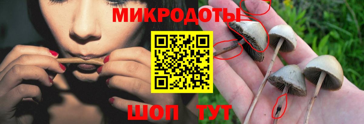 Псилоцибиновые грибы Magic Shrooms  дарнет шоп  Псилоцибиновые грибы MAGIC MUSHROOMS  Ялуторовск  Вход с VPN 
